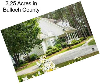 3.25 Acres in Bulloch County