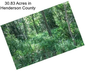 30.83 Acres in Henderson County