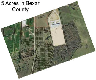 5 Acres in Bexar County