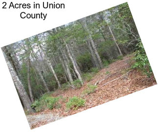 2 Acres in Union County