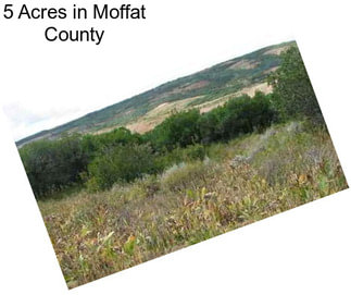 5 Acres in Moffat County