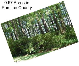 0.67 Acres in Pamlico County