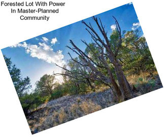 Forested Lot With Power   In Master-Planned Community