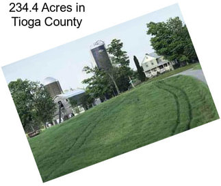 234.4 Acres in Tioga County