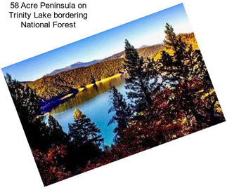 58 Acre Peninsula on Trinity Lake bordering National Forest