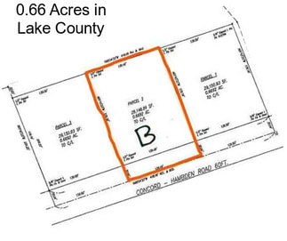 0.66 Acres in Lake County