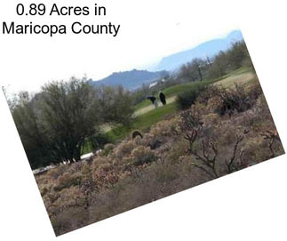 0.89 Acres in Maricopa County