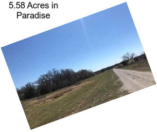 5.58 Acres in Paradise
