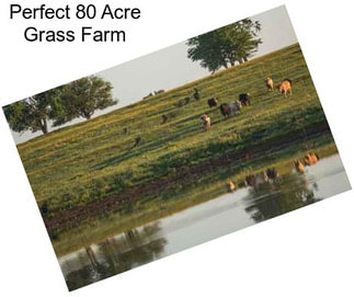 Perfect 80 Acre Grass Farm