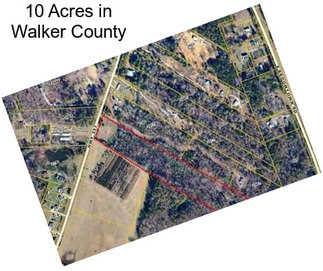 10 Acres in Walker County