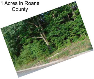 1 Acres in Roane County