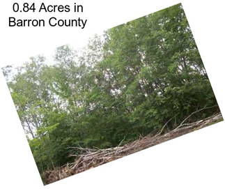 0.84 Acres in Barron County