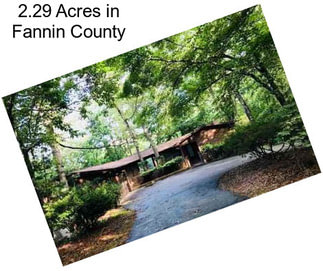 2.29 Acres in Fannin County