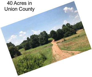 40 Acres in Union County