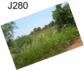 J280