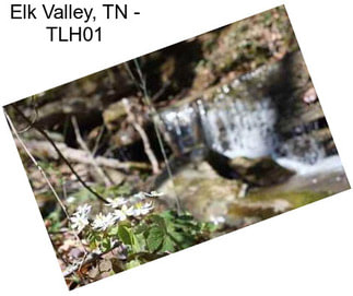 Elk Valley, TN - TLH01