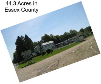 44.3 Acres in Essex County