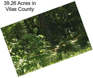 39.26 Acres in Vilas County