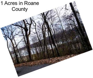 1 Acres in Roane County