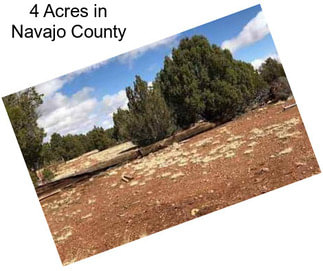 4 Acres in Navajo County