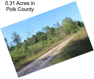 0.31 Acres in Polk County