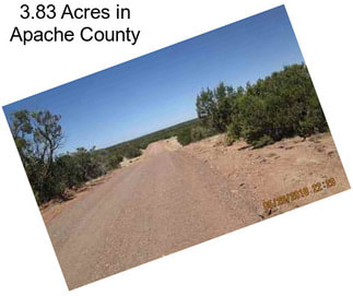 3.83 Acres in Apache County