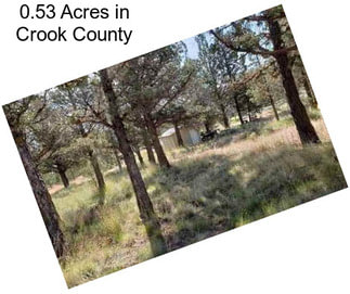0.53 Acres in Crook County