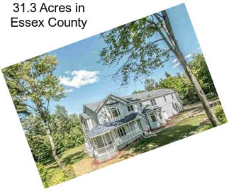 31.3 Acres in Essex County