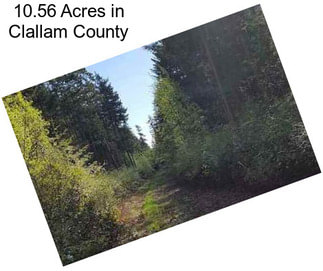 10.56 Acres in Clallam County