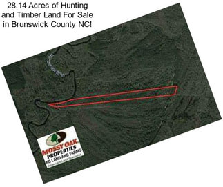 28.14 Acres of Hunting and Timber Land For Sale in Brunswick County NC!