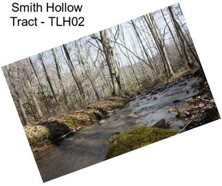 Smith Hollow Tract - TLH02