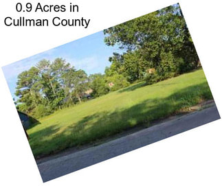 0.9 Acres in Cullman County