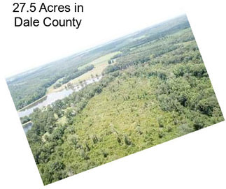 27.5 Acres in Dale County