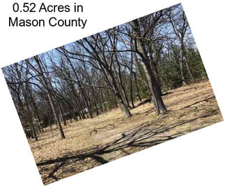 0.52 Acres in Mason County