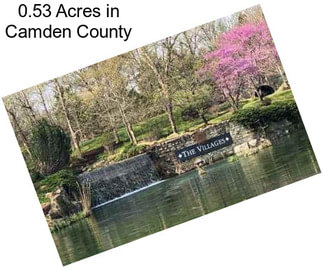 0.53 Acres in Camden County