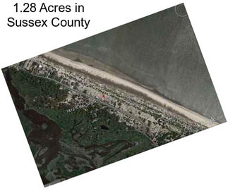 1.28 Acres in Sussex County