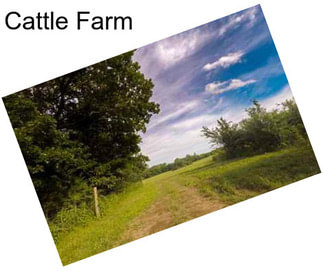 Cattle Farm