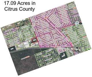 17.09 Acres in Citrus County