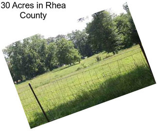 30 Acres in Rhea County