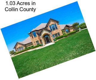 1.03 Acres in Collin County