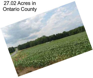 27.02 Acres in Ontario County