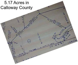 5.17 Acres in Calloway County