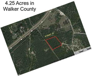 4.25 Acres in Walker County