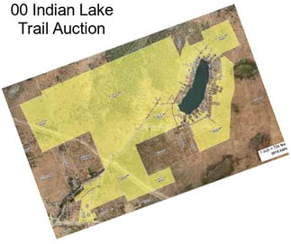 00 Indian Lake Trail Auction