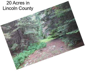 20 Acres in Lincoln County