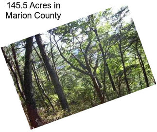 145.5 Acres in Marion County