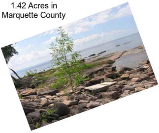 1.42 Acres in Marquette County