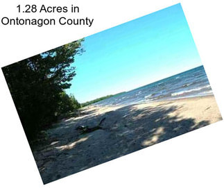 1.28 Acres in Ontonagon County