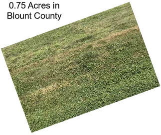 0.75 Acres in Blount County