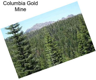 Columbia Gold Mine